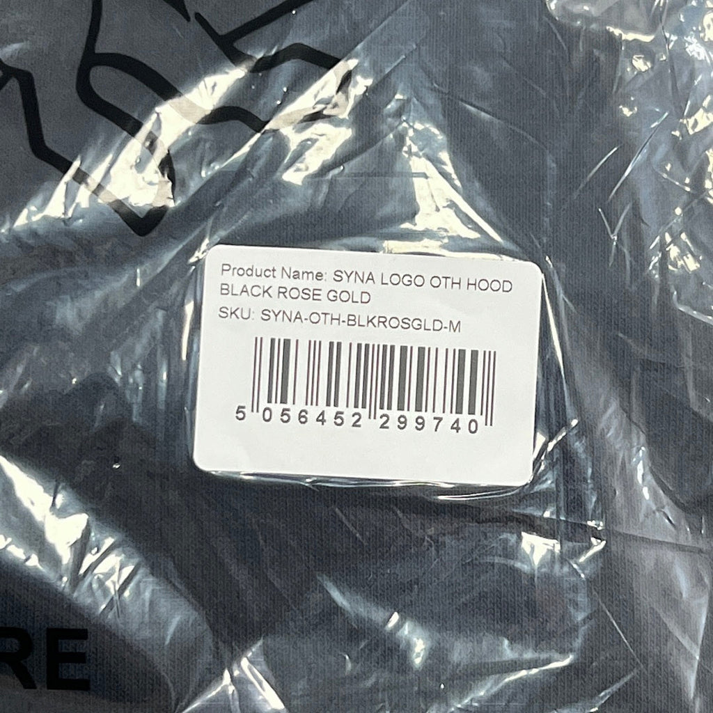 SynaWorld Hoodie 2