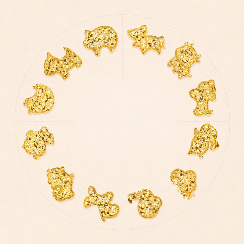 18K Gold-Plated 925 Silver Zodiac Stud Earrings-Your Sign. Your Story