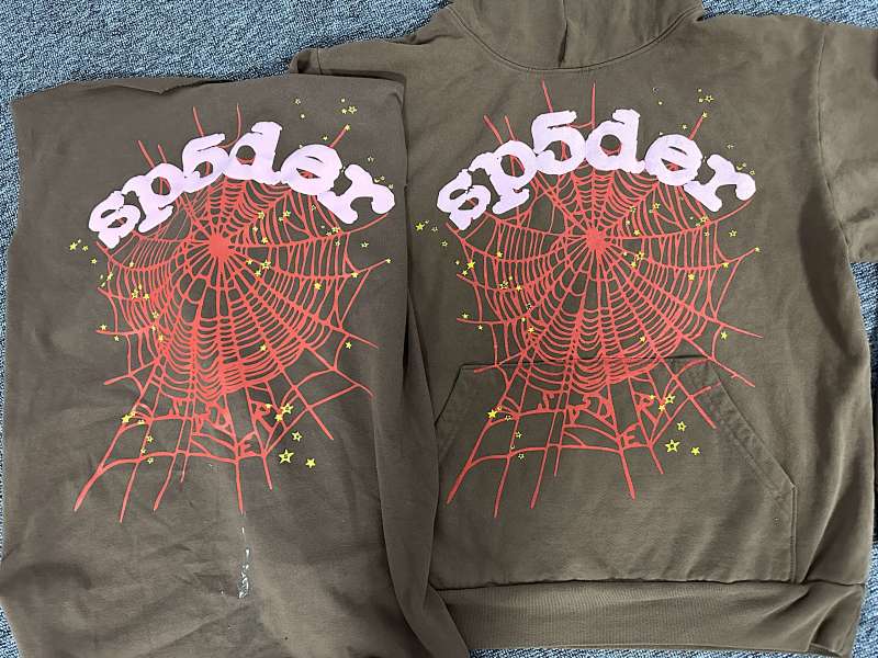 Sp5Der Web Hoodie