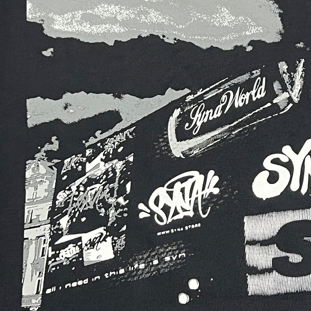 SynaWorld Set 29