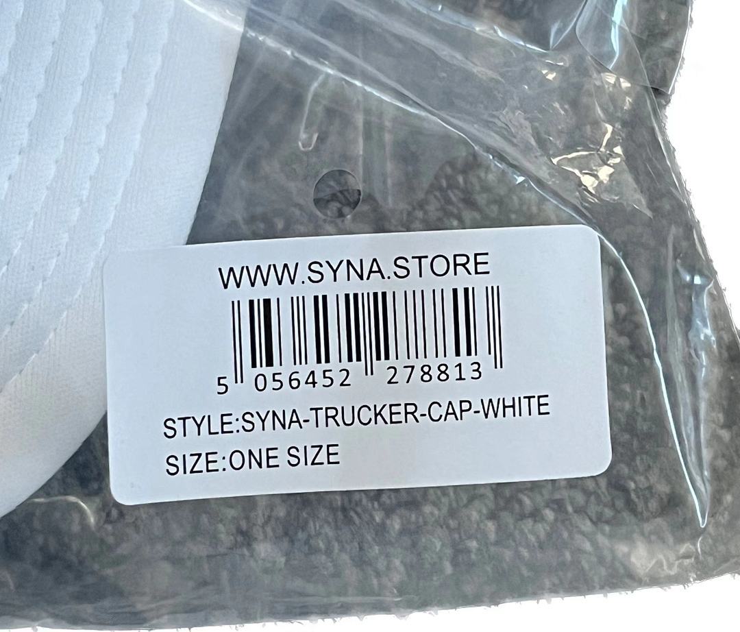 SynaWorld Set 31