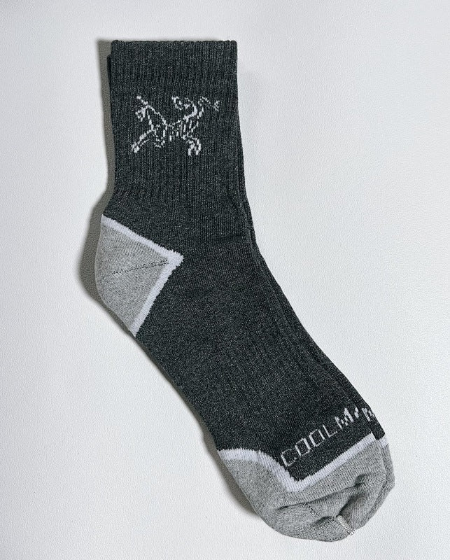 Arc'teryx Ski Socks 3-Pack - Gray/Green/Charcoal