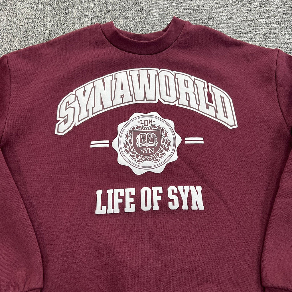 SynaWorld Set 9