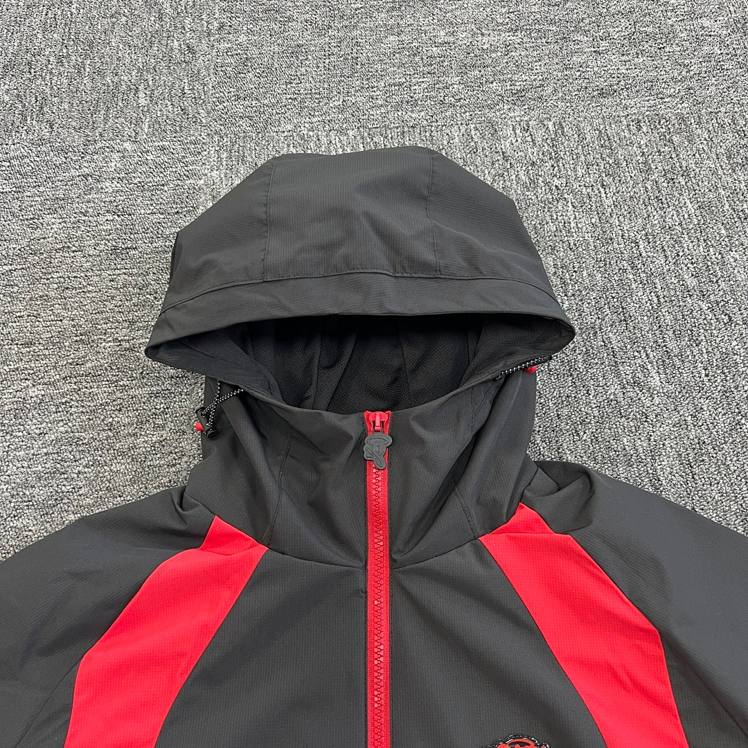 SynaWorld Set 20