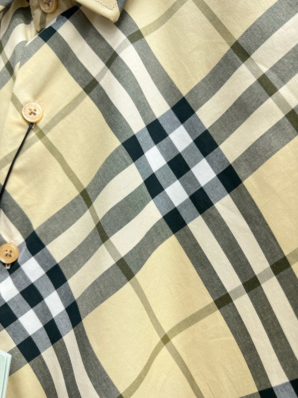 Check Cotton Shirt