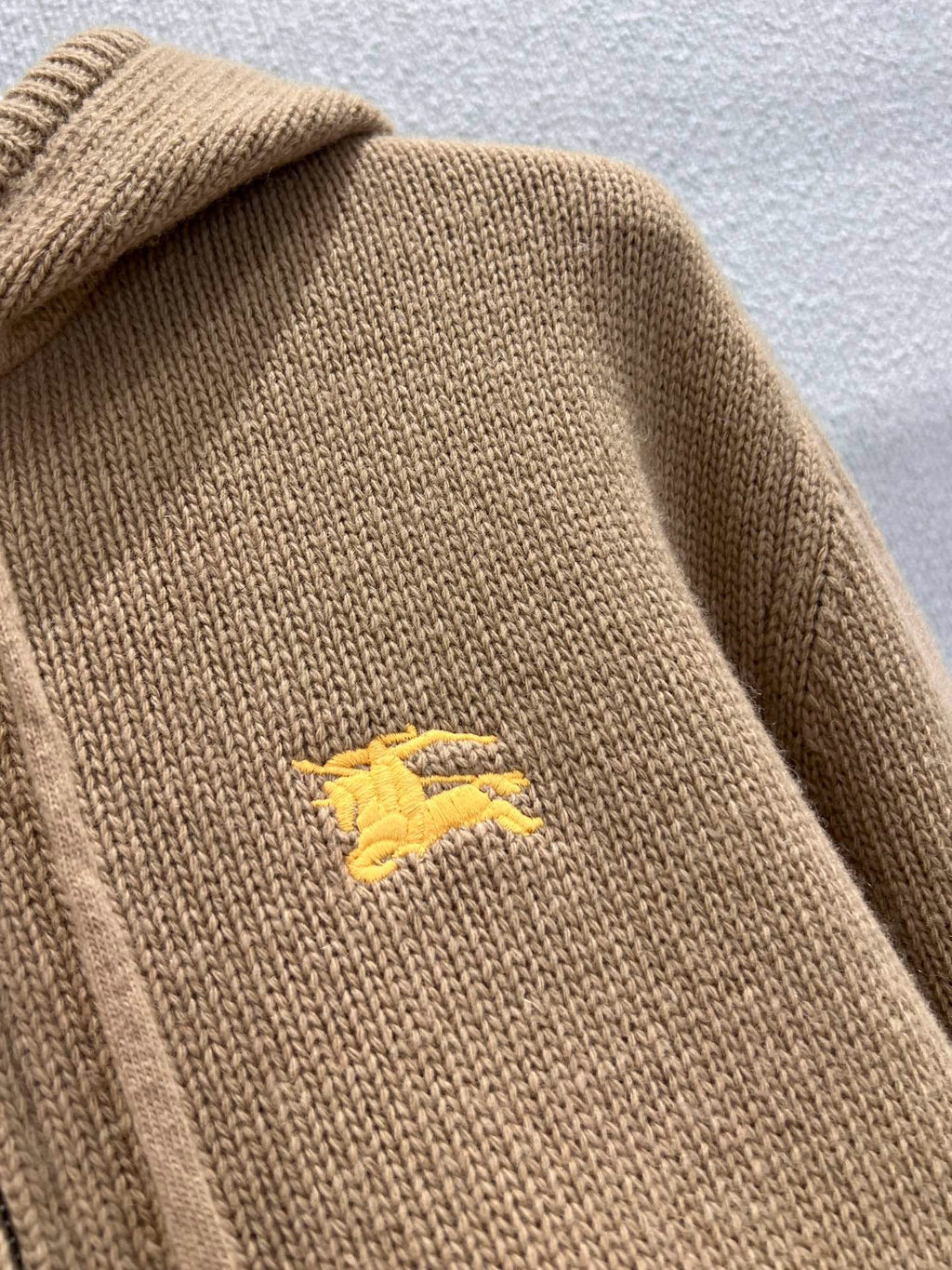 Equestrian Knight Zip Hoodie