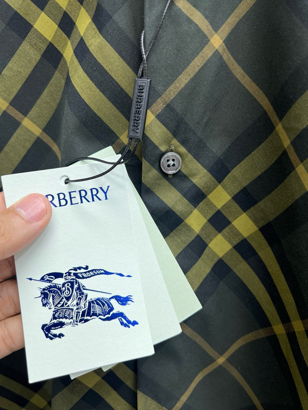 Check Cotton Shirt