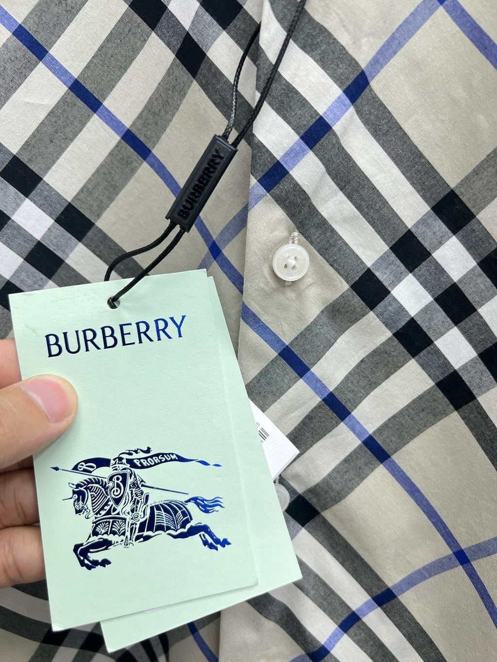 Check Cotton Shirt