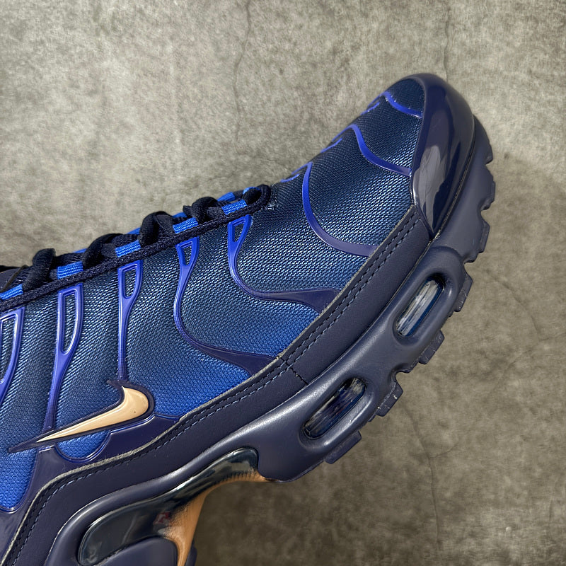 Nike Air Max Plus - Obsidian/Gold Suede Navy Blue/Royal Blue