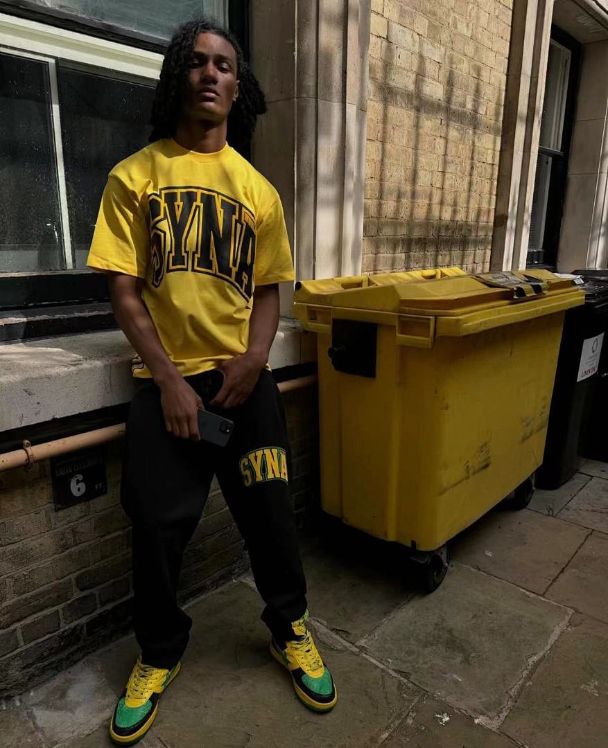 SynaWorld Hoodie 12