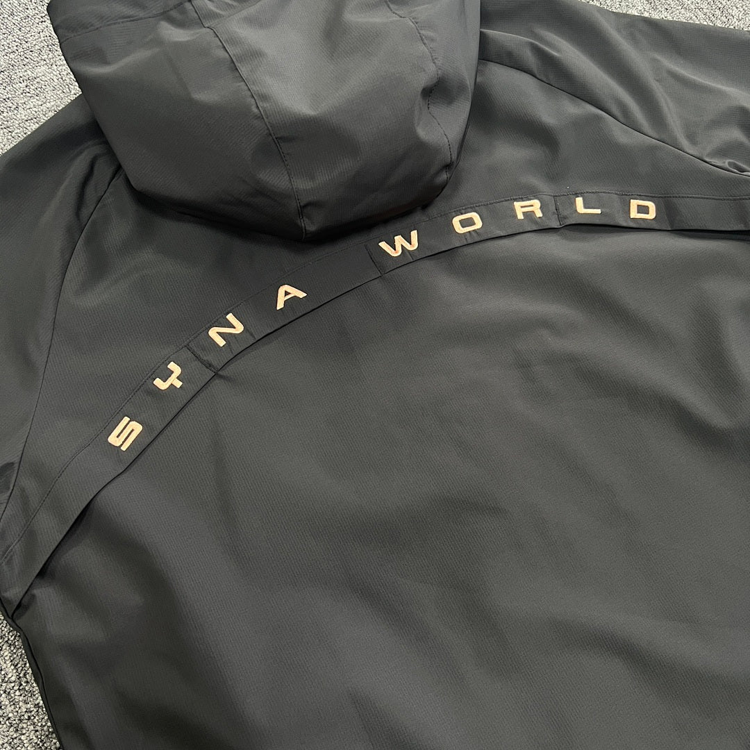 SynaWorld Hoodie