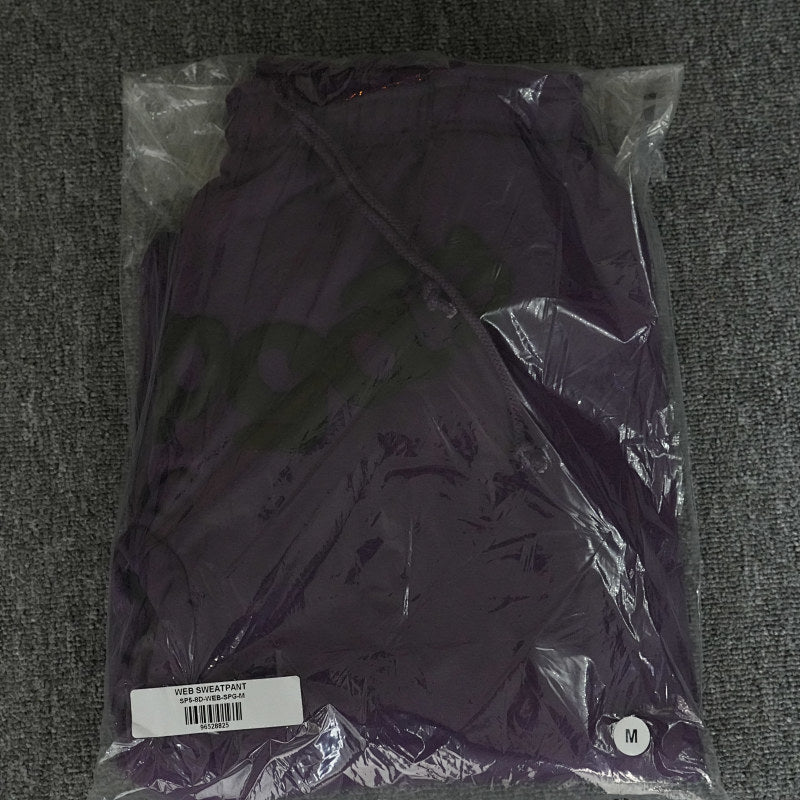 Sp5Der Web Sweatpants Purple