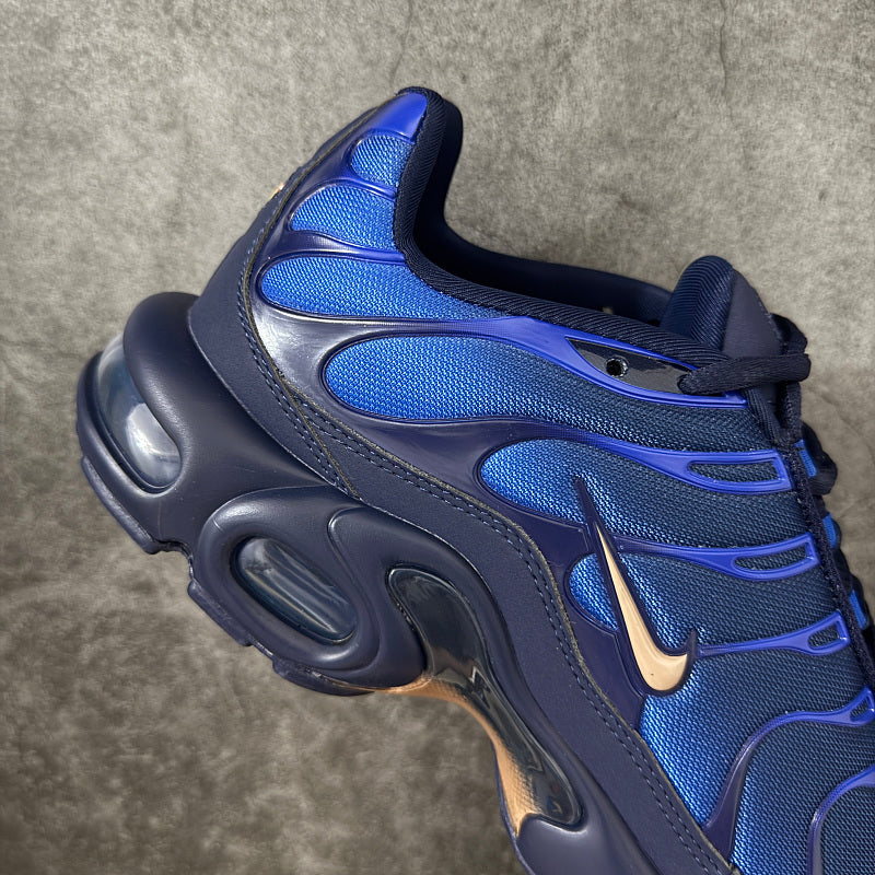 Nike Air Max Plus - Obsidian/Gold Suede Navy Blue/Royal Blue