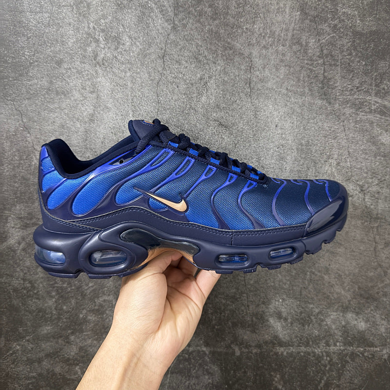 Nike Air Max Plus - Obsidian/Gold Suede Navy Blue/Royal Blue