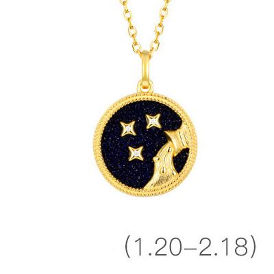 Gold Zodiac Sign 12 Constellation Lucky Amulet Pendants Necklace