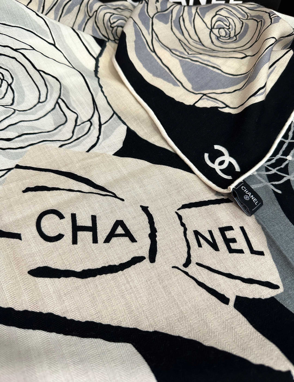 CC 26s Scarf 140 In Cashmere And Silk 439391