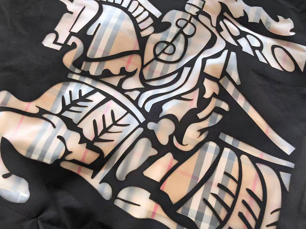 Burberry JACKET
